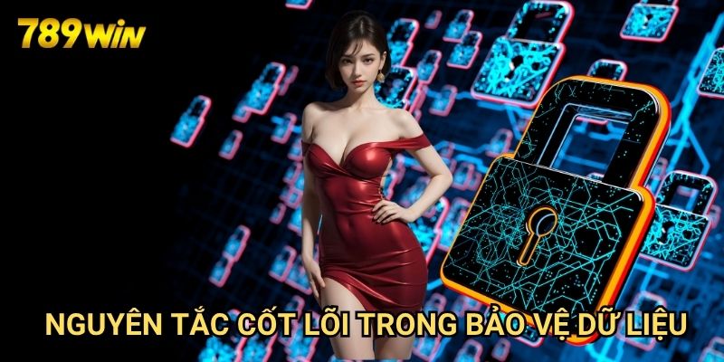 Chính sách bảo mật 789win: Bảo Vệ Thông Tin Người Chơi Tối Đa 1 Nguyên Tắc Cốt Lõi Trong Bảo Vệ Dữ Liệu