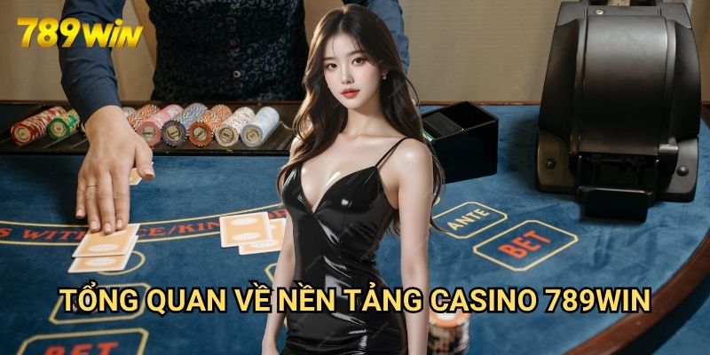 Trang chủ 22 Tổng Quan Về Nền Tảng Casino 789win